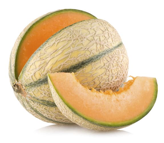 Melon Extract (Melon Placenta)